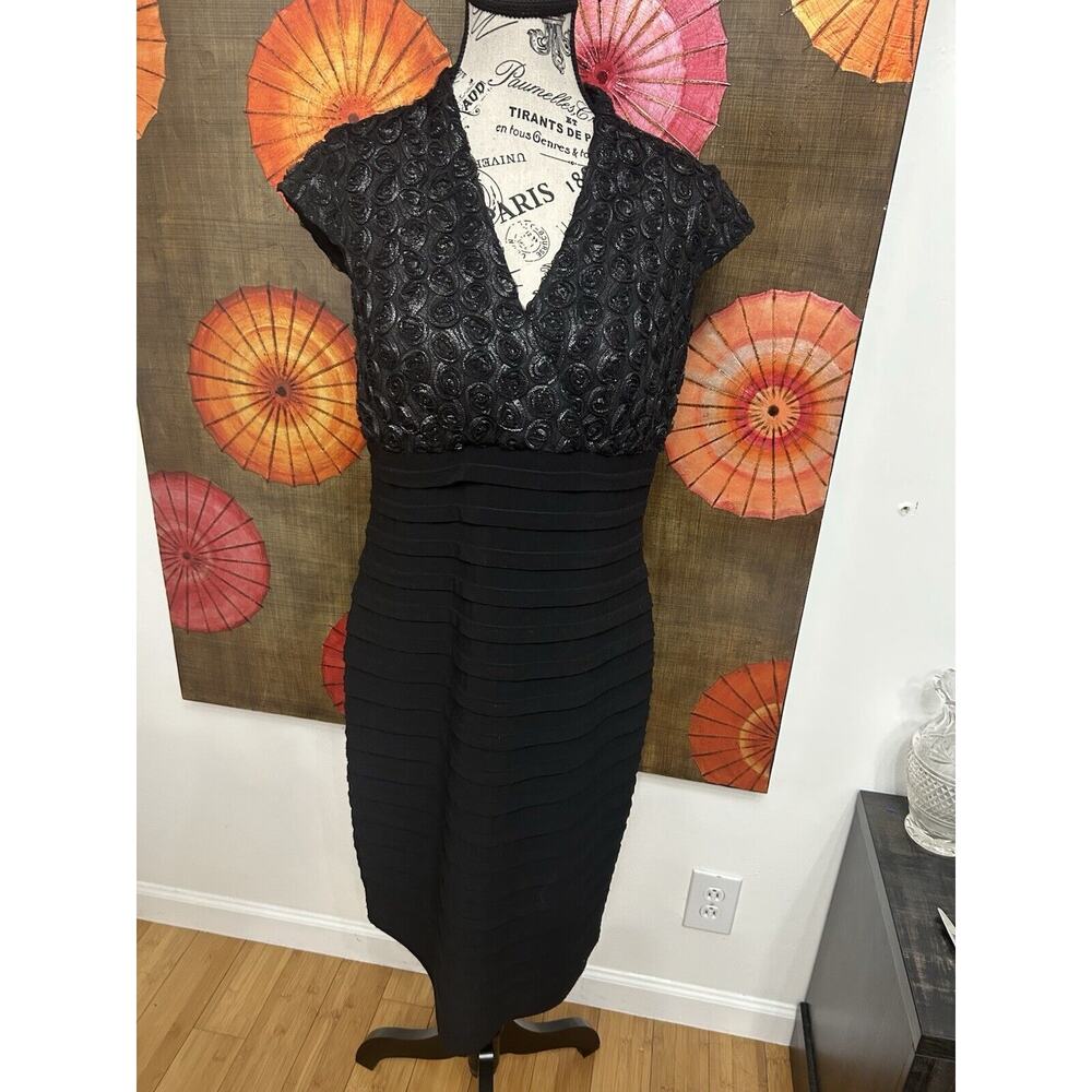 R&M Richards Lace Rose Shutter Black Dress Classic Elegance Evening Chic Sz 10P